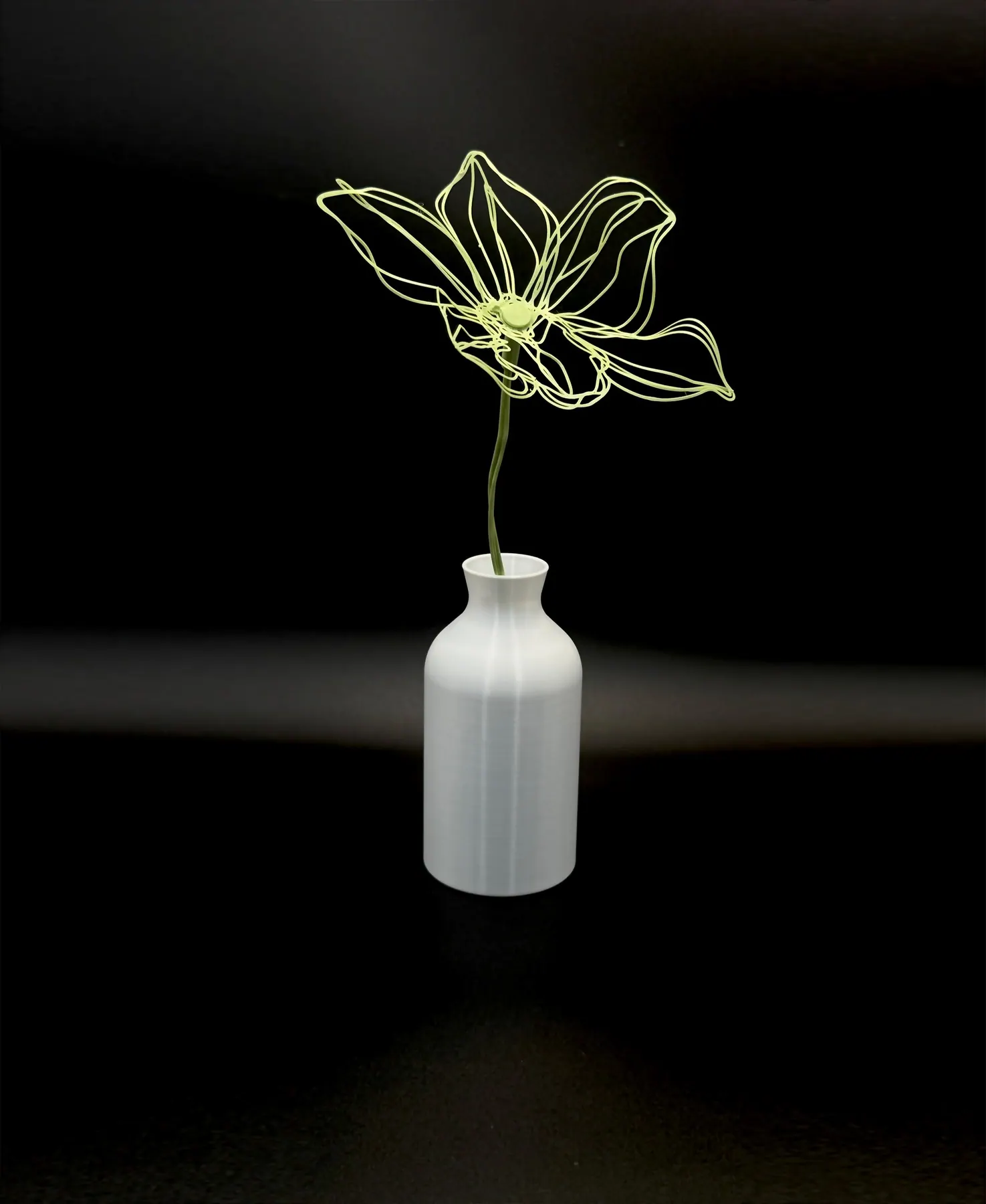 Orchid