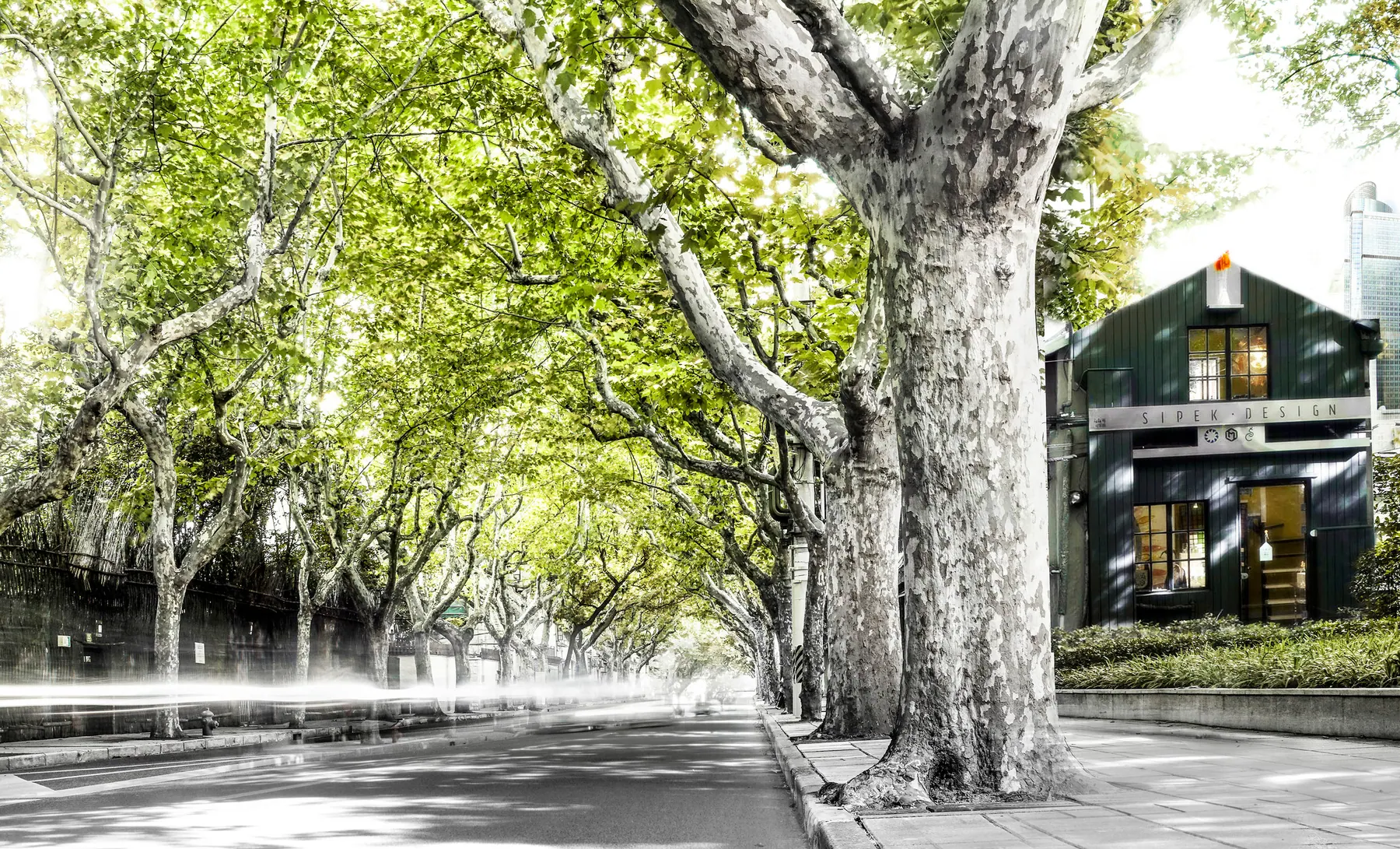 Sipek Design shop