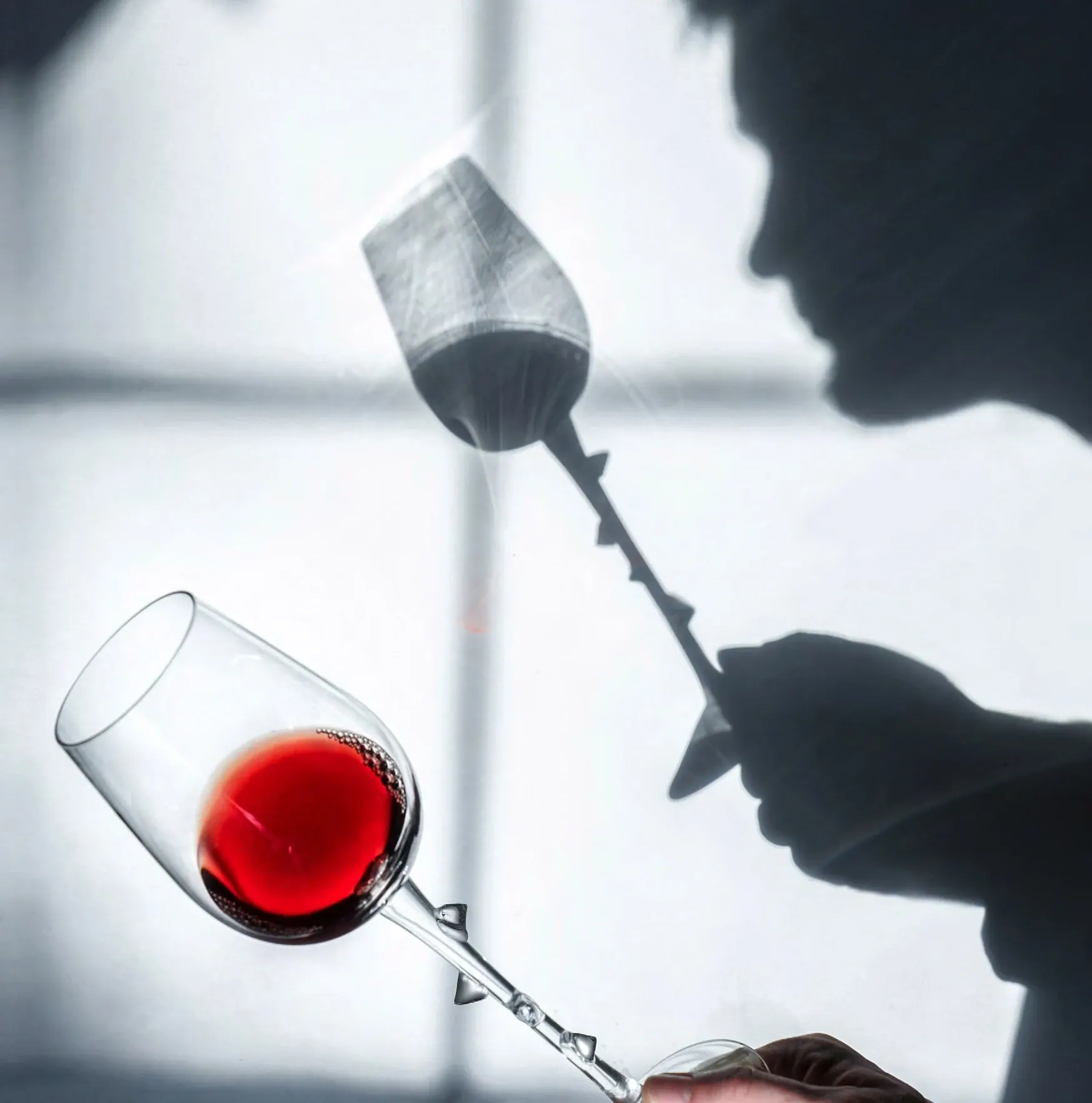 Rose Hip wine glasses