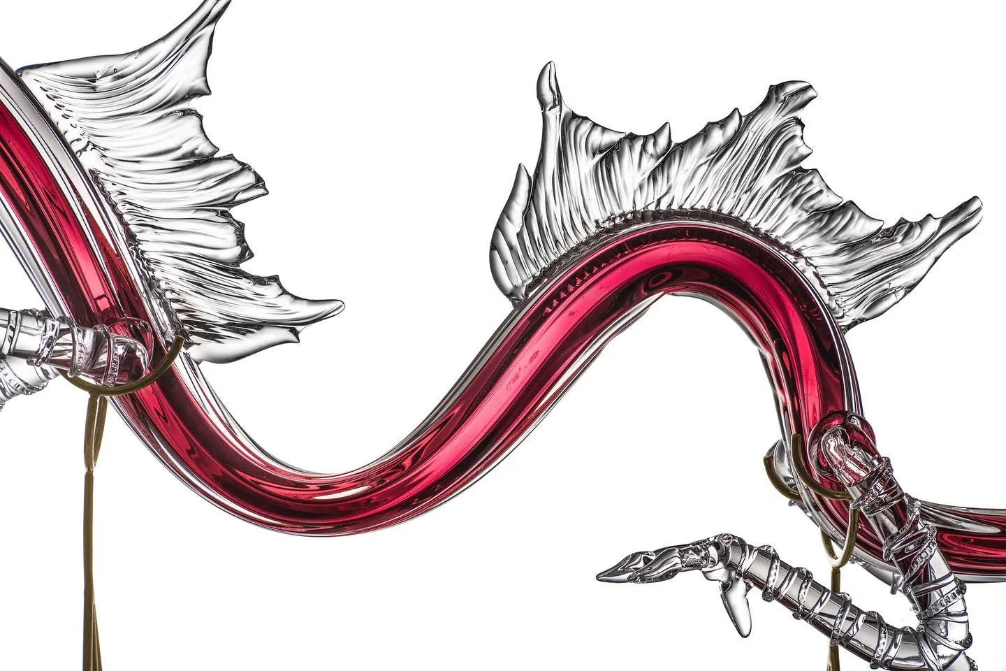 Dragons